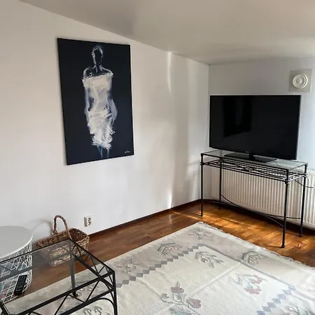 Lovely Penthouse In The Heart Of ヘルシンキ