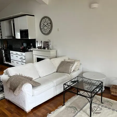 Lovely Penthouse In The Heart Of ホテル ヘルシンキ
